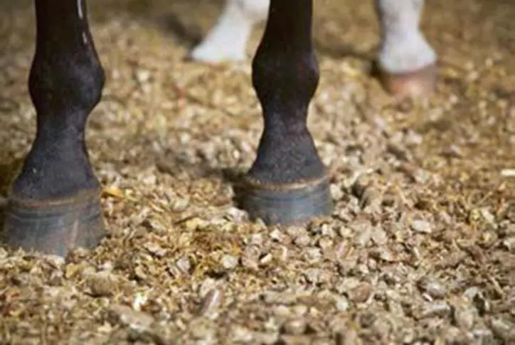 Koń na pellecie ze słomy BedStraw